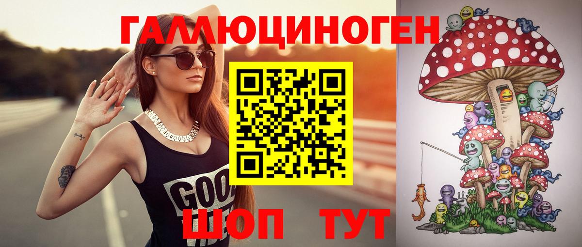 Псилоцибиновые грибы Psilocybine cubensis  Вход с VPN  закладки  Ковров 