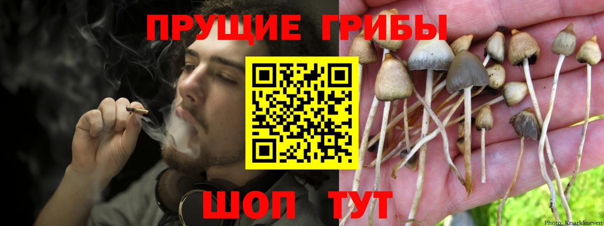 Псилоцибиновые грибы GOLDEN TEACHER Ковров